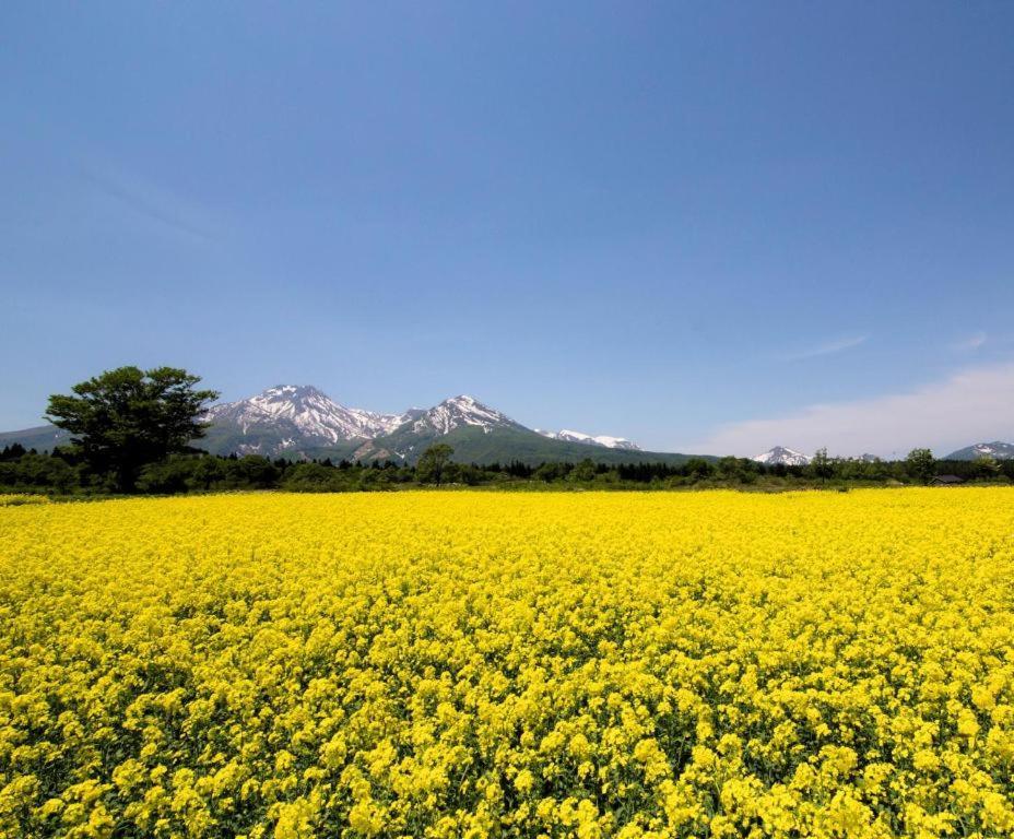 Akakura Park Hotel Myoko Esterno foto